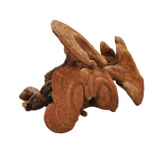 China Manufacturer lingzhi ganoderma lucidum ganoderma spore